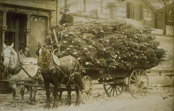 Carro di alberi di Natale, Hartford, ca. 1890 – Connecticut Historical Society and Connecticut History Online