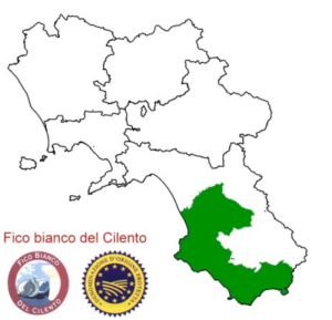 Il Fico Bianco del Cilento D.O.P