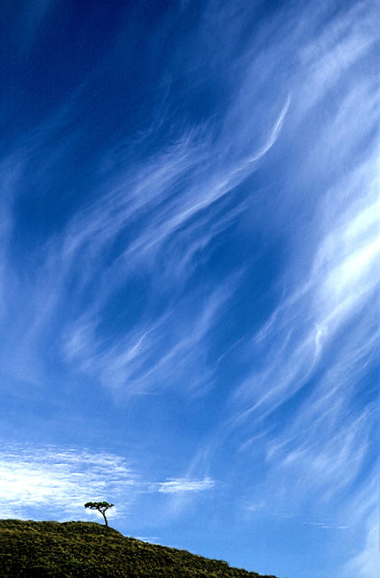 Paesaggio mediterraneo