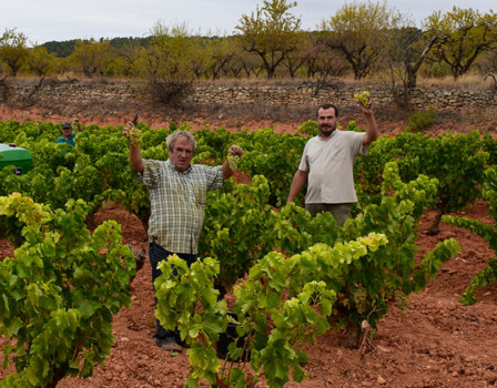 terra alta, spagna