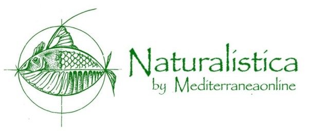 logo naturalistica