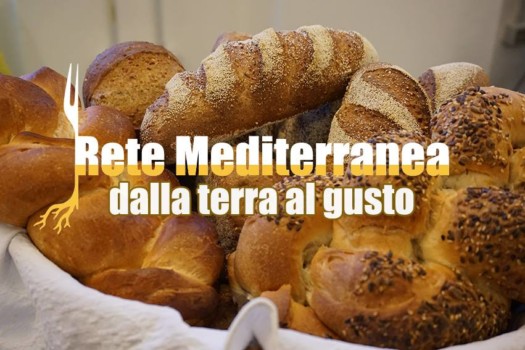 rete mediterranea