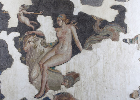Ph. Mosaico con raffigurazione di Nerleide, MAN Aquileia. Crediti: foto Paolo Bernabini