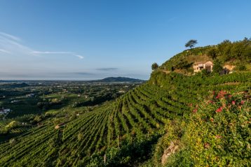 valdobbiadene docg