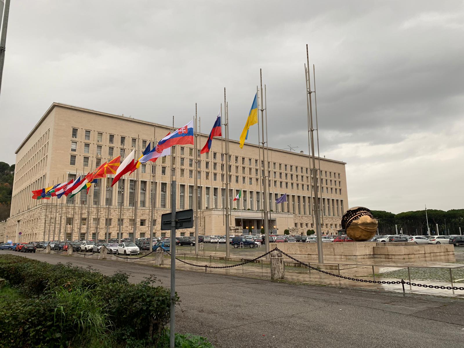 la farnesina