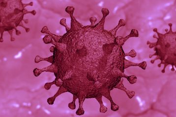 immevvirus