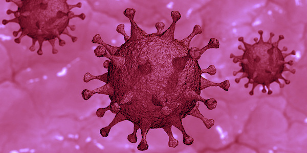 immevvirus