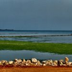 La Fao designa due nuovi siti tunisini come patrimonio agricolo globale