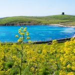 Asinara primo parco certificato Europarc in Sardegna