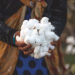 Patagonia lancia la campagna per l'agricoltura organica e rigenerativa
