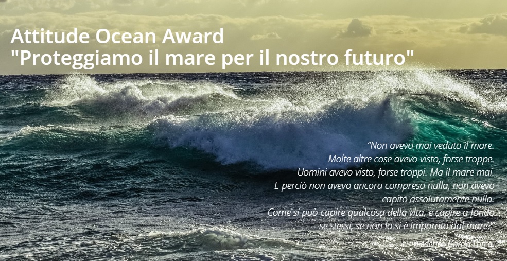 attitude ocean award