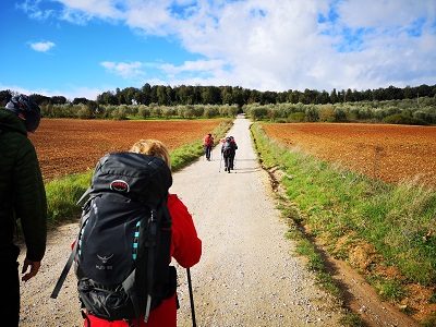 Toscana La Via Francigena senese