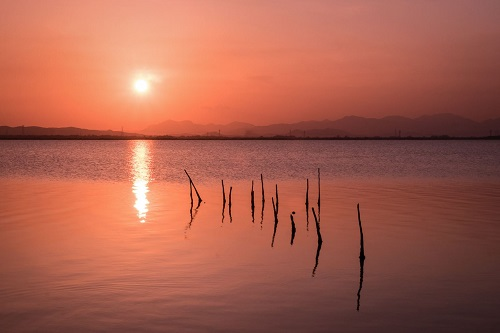 Laguna di Santa Gilla al tramonto