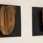 Al CEDAP di Tempio le “Nature permanenti” di Bruno Petretto