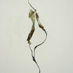 Project Room Neutral, al Museo Temporaneo Navile dall'11 settembre