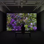 Arte Sella: video installazione di Quayola, Jardins d'Été