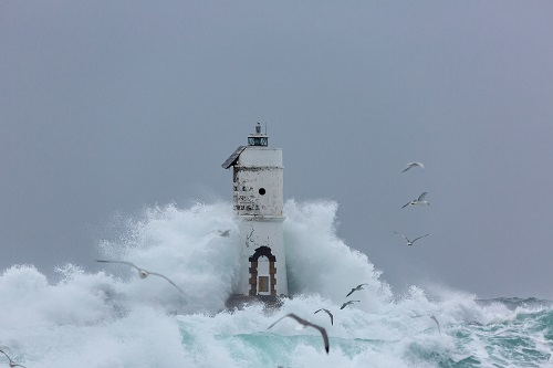 Faro Mangiabarche di Calasetta, Gian Luca Onnis