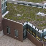 ORDINE DEGLI ARCHITETTI: CAMBIAMENTI CLIMATICI E VERDE IN CITTA', PUNTIAMO SULLE FORESTE URBANE