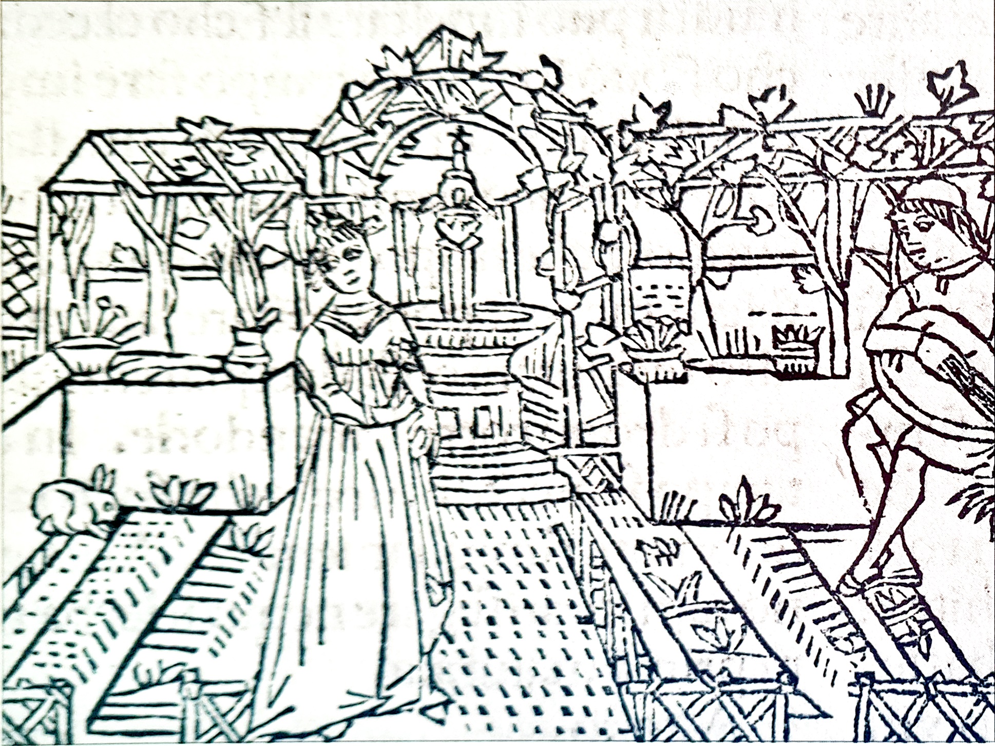 Xilografie tratte dal «De agricoltura» tradotto in volgare (titolo originale «Liber ruralium commodomm») di Pietro de' Crescenzi (Bologna 1233-1320). Testimonia una straordinaria fortuna del trattato e della permanenza degli ideali classici e medievali nel Rinascimento, con un riconsacrato amore per l'agricoltura, per l'arte che è «necessaria alla conservazione del corpo e della vita.