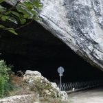 Ricerche zoologiche condotte nella Grotta di San Giovanni a Domusnovas (Sardegna sud-occidentale)