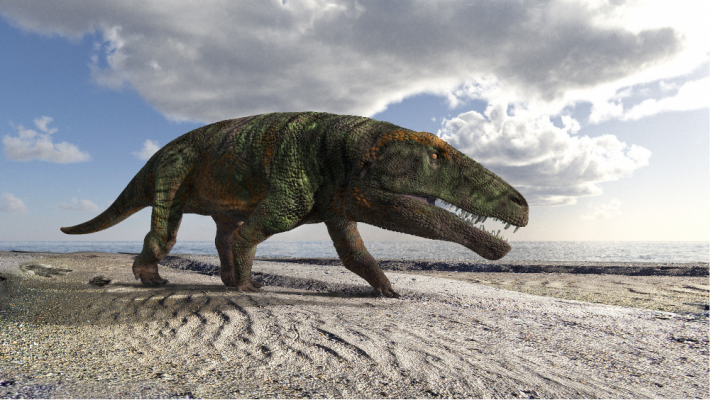 Ipotetica ricostruzione dell’organismo che ha lasciato le impronte attribuite alla nuova icnospecie Isochirotherium gardettensis. Per gentile concessione di Fabio Manucci
