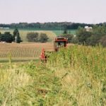 AGRICOLTURA: CONVOCATO TAVOLO CANAPA