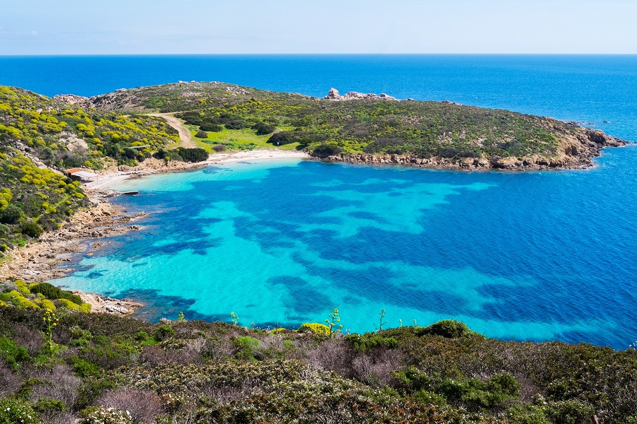 isola dell'asinara