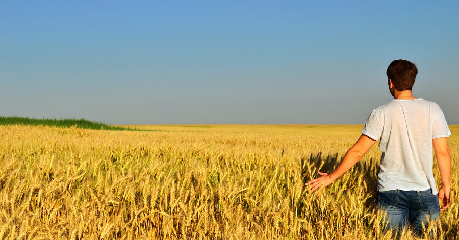 finanziamenti giovani agricoltori