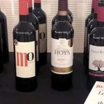 Alla scoperta dei migliori vini spagnoli
