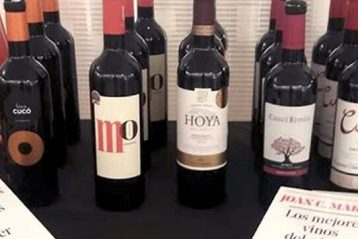 migliori-vini-spagnoli