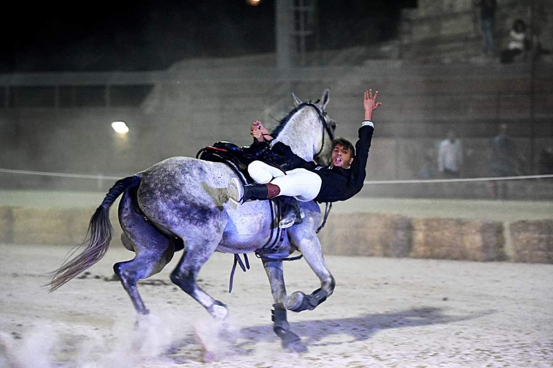 Fiera Mediterranea del Cavallo