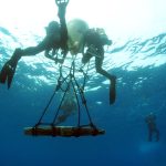Dalla BMTA parte la proposta dell’Itinerario Culturale Europeo “Mediterranean Underwater Cultural Heritage”