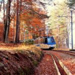 Al via il Treno del Foliage, un viaggio lento tra le sfumature d'autunno