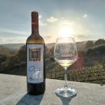 Oi Nì Fiano Tenuta Scuotto Gaetano Cataldo