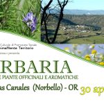 “HERBARIA: festival delle piante officinali ed aromatiche”
