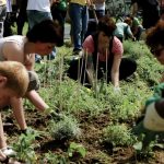 1 giugno a Cagliari la proiezione di "Giardinieri d'assalto", documentario sulla guerrilla gardening in Italia