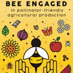 La Camera di Cooperazione Italo Araba lancia il bando per le sovvenzioni della Bee-Economy (apicoltura) in Italia attraverso il progetto MedBEESinessHubs
