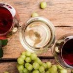 Un sorso dopo l’altro, alla scoperta del Friuli