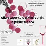 Piede Franco Gaetano Cataldo