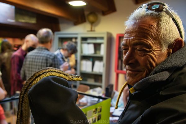 Festa dei Serpari, foto di Piero Castellano