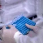 Tumori Lazio, 5 proposte per rispondere ai bisogni dei pazienti ematologici