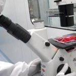 Tumori, in 5 anni di Car-T curati 1.800 italiani: “Il viaggio continua destinazione futuro”