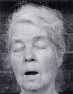 Fig. 3  