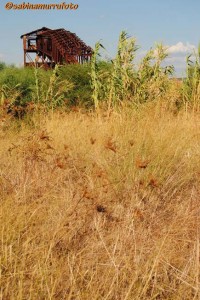 La grande miniera di Carbonia